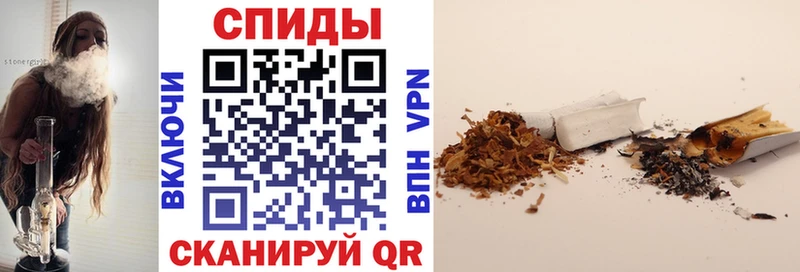 даркнет сайт  Кудрово  Бутират буратино 