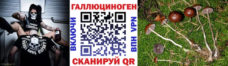 Галлюциногенные грибы MAGIC MUSHROOMS  наркошоп  Кудрово 